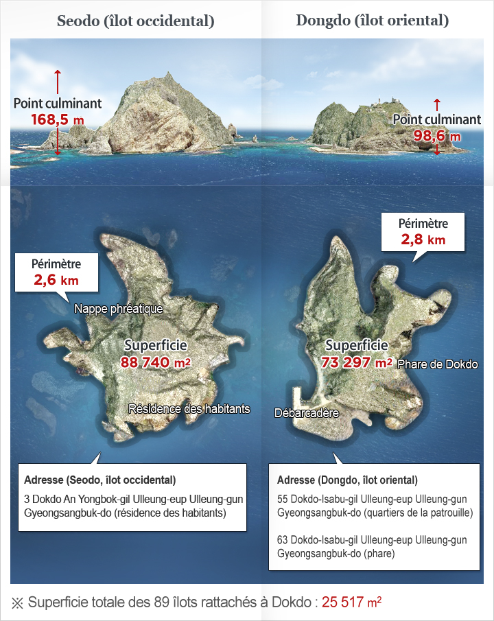 Dongdo (îlot oriental) - Point culminant:98,6 m, Périmètre:2,8 km, Superficie:73 297㎡  /  Seodo (îlot occidental) - Point culminant:168,5m, Périmètre:2,6km, Superficie:88 740㎡  /  Superficie totale des 89 îlots rattachés à Dokdo : 25 517㎡
